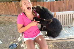 Tranh vui - Các người đẹp khóc thét khi bất ngờ bị "kẻ xấu" sàm sỡ