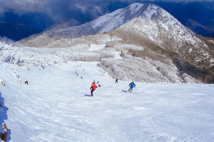 Người dân Úc và khách du lịch hào hứng với các hoạt động trượt tuyết vào mùa hè tại khu vực núi&nbsp;Buller ở bang Victoria.&nbsp;Ảnh:&nbsp;mtbuller.com