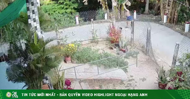 www.24h.com.vn