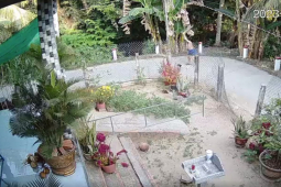 Pháp luật - Tính khí thất thường của nghi phạm đánh tử vong nữ hàng xóm ở Tiền Giang