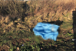 Kiên quyết chia tay, nữ sinh xinh đẹp bị người yêu sát hại