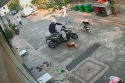 Xe máy - Xe đạp - Clip: "Dở khóc dở cười" thanh niên đi xe máy bị đàn chó đuổi rơi dép