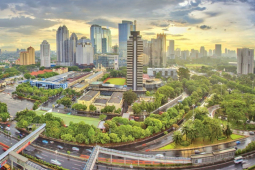 Kinh doanh - Nước Đông Nam Á nhập 2 triệu tấn gạo của Việt Nam về dự trữ, kinh tế thế nào?