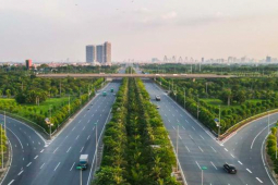 Tin tức trong ngày - Vụ 'thổi giá cây xanh' Hà Nội: Đường đi của cây trồng nhập lậu từ Trung Quốc