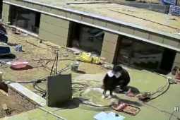 Phi thường - kỳ quặc - Video: Con ngã xuống giếng, bố lập tức nhảy xuống theo