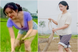 Nhạc - 2 cô gái xinh đẹp xứ Nghệ đi làm đồng vẫn "gây bão mạng", hóa ra là người quen