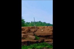 Video: Hổ mang chúa khổng lồ ”đứng thẳng” cao như người gây kinh ngạc 