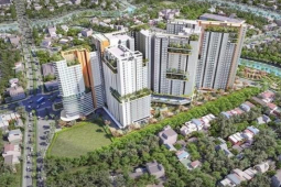 Kinh doanh - Lợi nhuận bốc hơi tới 73% sau kiểm toán, Thuduc House nói gì?