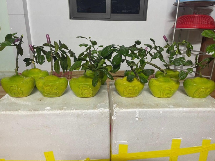 Trên chợ mạng, bưởi tạo hình tài - lộc có giá từ 250.000 - 300.000 đồng/quả. Ảnh: Facebook