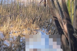 Tin tức trong ngày - Tin tức 24h qua: Nguyên nhân cô gái bị bạn trai sát hại rồi chở xác sang tỉnh khác phi tang