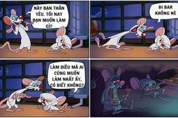 Cười 24H - Điều ai cũng muốn làm nhất vào buổi tối