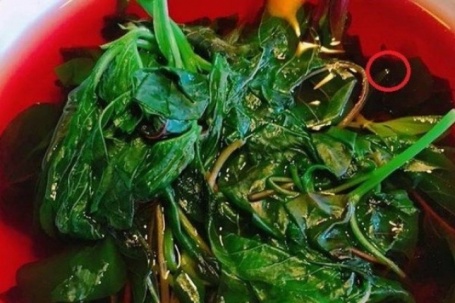 3 không khi ăn loại “rau trường thọ”, thế giới yêu thích ở Việt Nam trồng bạt ngàn