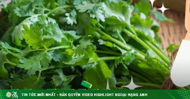 8 lợi ích sức khỏe tuyệt vời từ rau mùi