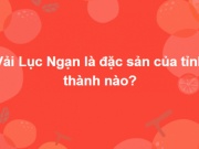 Giáo dục - du học - Cả nghìn người không thể trả lời đúng trọn bộ 15 câu hỏi này trong 10 phút