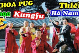 Khoa Pug lên Thiếu Lâm Tự học võ công?
