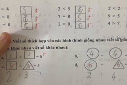 Giáo dục - du học - Mẹ Việt "ấm ức" vì con làm toán 5 + 0 = 5 bị cô giáo gạch sai, lên mạng hỏi lý do thì xấu hổ khi biết lời giải
