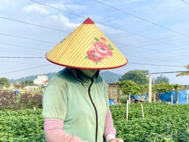 Thủ phủ hoa lớn nhất xứ Thanh: Người làm vườn trông chờ vụ Tết để 'gỡ vốn'