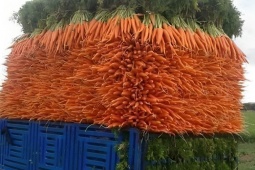 Loạt ảnh khiến người ngăn nắp “phát cuồng”