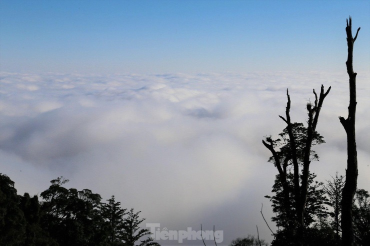 Bồng bềnh 'biển' mây đẹp tựa chốn thiên đường ở miền Tây xứ Nghệ - 4