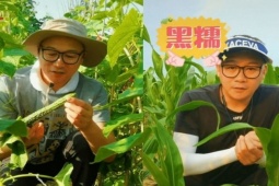 Đàn ông - "Hư Trúc" ngoại hình phát tướng hậu bê bối, phải về quê trồng rau, đi giao hàng