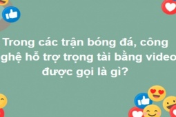 Giáo dục - du học - Có cả bể kiến thức mới trả lời đúng  bộ câu hỏi "khó nhằn" này