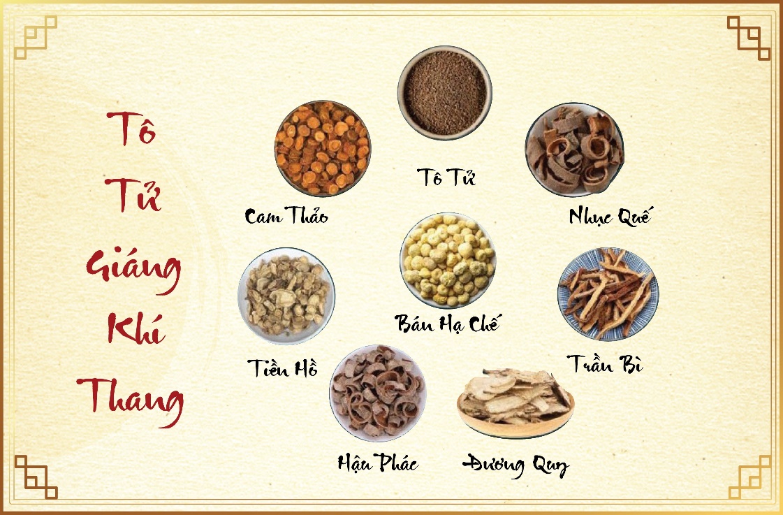 Tô tử giáng khí thang, tiểu thanh long thang là những bài thuốc điều trị hiệu quả hen phế quản (Ảnh: Benhhen.vn)