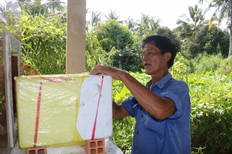 CLIP: Người đàn ông tiết lộ bí quyết "gọi" ong về nuôi lấy mật - 1