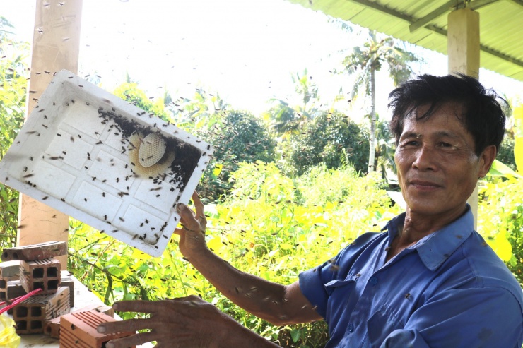 Chỉ với cái thùng xốp, ông Trung đã "gọi" được đàn ong về xây tổ