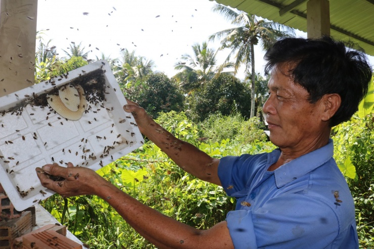 CLIP: Người đàn ông tiết lộ bí quyết "gọi" ong về nuôi lấy mật - 2