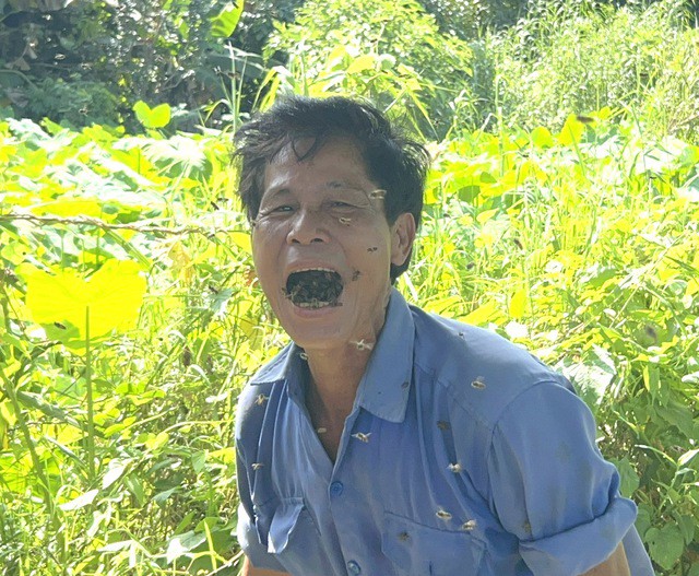 Ông Trung còn có thể ngậm hàng trăm con ong trong miệng mà không hề bị chúng đốt
