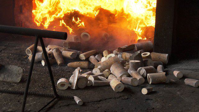 Cơ quan chức năng tiến hành tiêu hủy 10 tấn động vật hoang dã tại Đà Nẵng ngày 28/12 Ảnh: ENV cung cấp