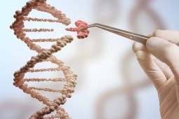 Nhà khoa học ngồi tù vì chỉnh sửa gen để biến đổi loài người