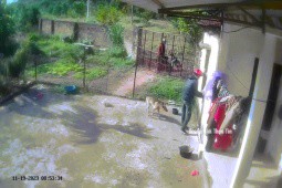 Video: Chú chó xích ở sân bất ngờ “biến mất“, chủ nhà xem camera phát hiện hành động đáng sợ của 2 thanh niên