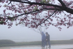 Tin tức trong ngày - Miền Bắc sắp chuyển mưa rét, có nơi dưới 10 độ C