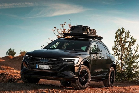 Audi e-Tron có thêm biến thể chạy Rally cho giới nhà giàu thích đường...