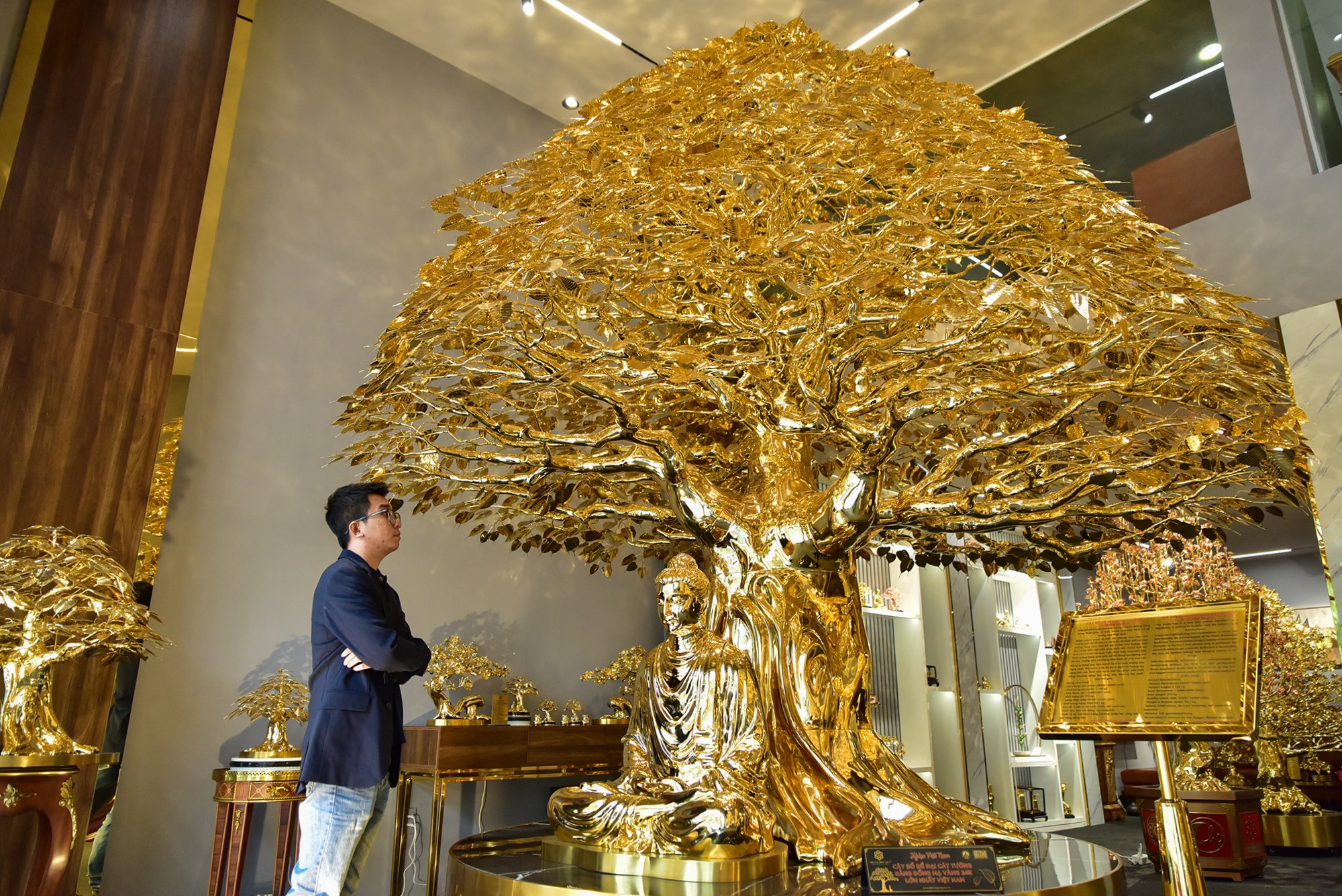 Choáng ngợp cây bồ đề mạ vàng nặng hơn 1 tấn, trị giá hàng chục tỷ đồng - 1