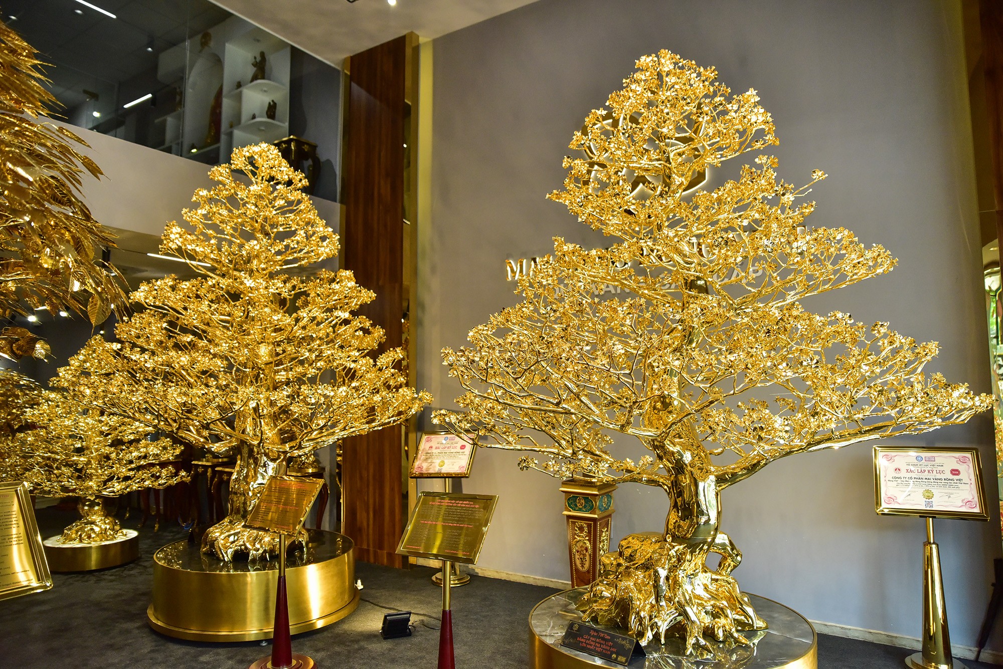 Choáng ngợp cây bồ đề mạ vàng nặng hơn 1 tấn, trị giá hàng chục tỷ đồng - 13