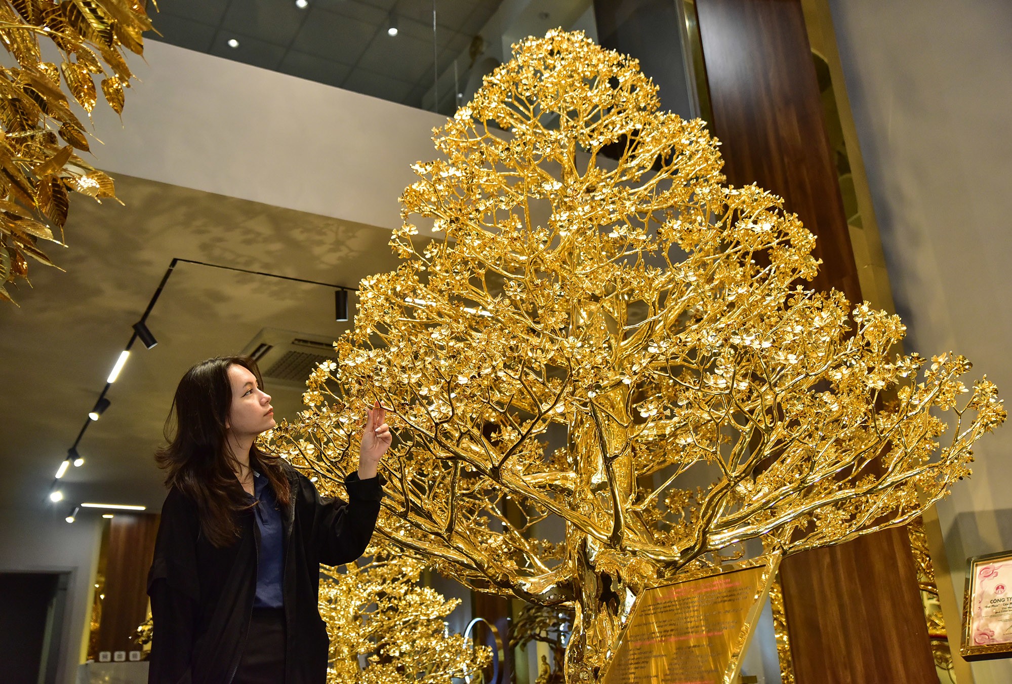 Choáng ngợp cây bồ đề mạ vàng nặng hơn 1 tấn, trị giá hàng chục tỷ đồng - 14