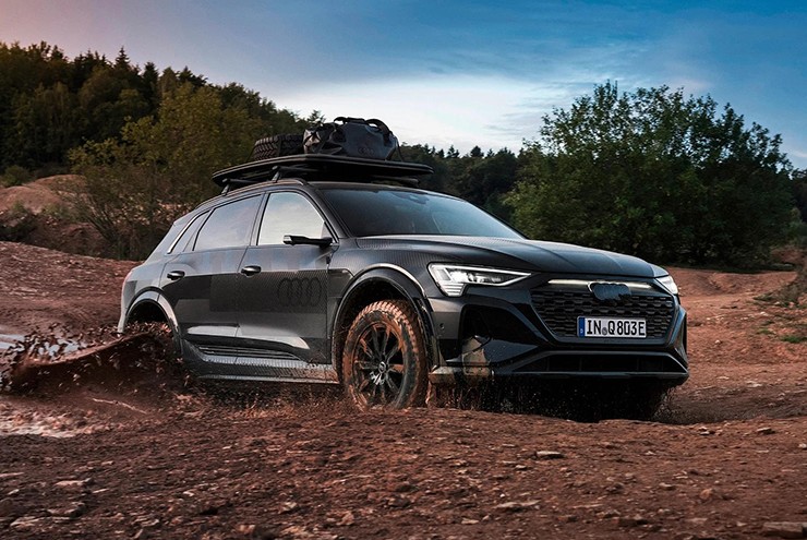 Audi e-Tron có thêm biến thể chạy Rally cho giới nhà giàu thích đường xấu - 4