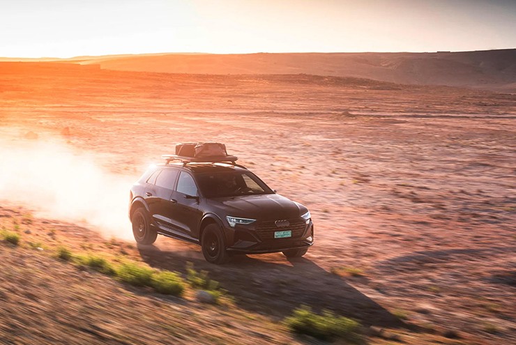 Audi e-Tron có thêm biến thể chạy Rally cho giới nhà giàu thích đường xấu - 14