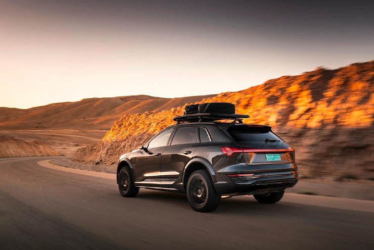 Audi e-Tron có thêm biến thể chạy Rally cho giới nhà giàu thích đường xấu - 15