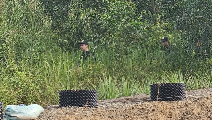 Bắt được nghi can giết người, cướp của ở Hóc Môn đang trốn trong cánh đồng ở Long An - 3