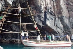 Thị trường - Tiêu dùng - "Báu vật" bổ dưỡng ở Việt Nam, trên thế giới hiếm có, có loại hơn 22 triệu/lạng