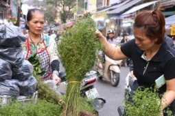 Thị trường - Tiêu dùng - Mùi già xuống phố sớm gọi Tết về