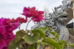 Tin tức trong ngày - "Cha đẻ của hoa hậu mèo" sắp trình làng linh vật rồng