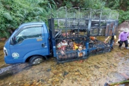 Tin tức trong ngày - Xe tải đang chạy thì bốc cháy, tài xế lao xe xuống suối để dập lửa