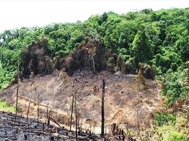Tin tức trong ngày - Bình Định: Kiểm tra 21 đảng viên có dấu hiệu vi phạm về đất đai tại huyện Vĩnh Thạnh