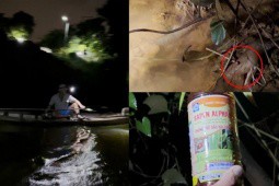 ĐIỀU TRA: Đổ thuốc trừ sâu xuống sông Đồng Nai bắt tôm - Bài 1 - Xuyên đêm tận diệt thủy sản