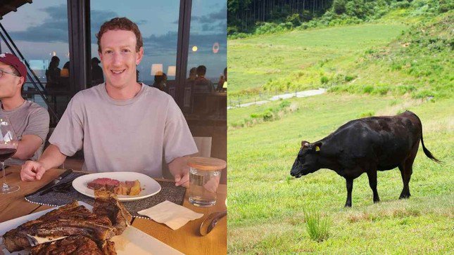 Mark Zuckerberg mới tiết lộ dự án nông nghiệp tạo nên thực phẩm cao cấp.