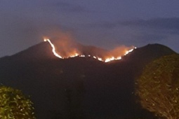 Tin tức trong ngày - Hơn 100 người dập cháy trên núi Cô Tiên trong đêm, giải cứu 25 người cắm trại